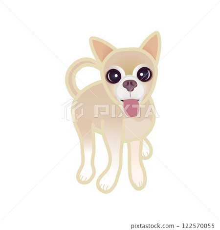 Beige smooth chihuahua illustration 122570055