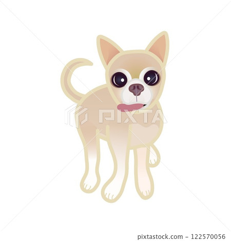 Beige smooth chihuahua illustration 122570056