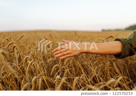 Woman farmer analyzes the harvest in a golden wheat field. Agronomist checks the progress of harvest 122570253