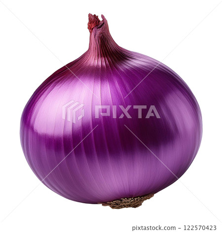 Fresh Purple Onion with Glossy Texture Fresh Purple Onion with Glossy Texture 122570423