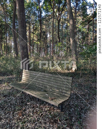 樹林裡的長椅 122571140