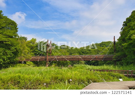 [Yamato City] Izumi no Mori - Green Bridge 122571141