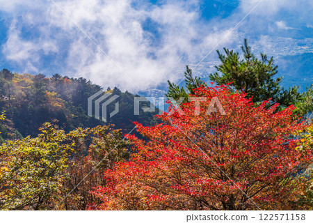 [Yamanashi Prefecture] Beautiful autumn foliage on Mt. Mitsutoge (mist in the valley) 122571158