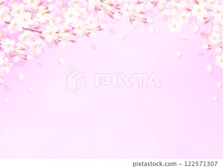 Background illustration of cherry blossom petals dancing in the wind 122571307