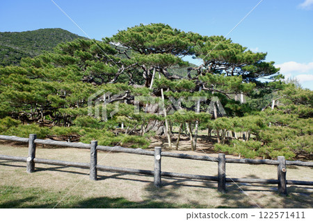 沖繩縣, 伊平屋島, 港區平松 122571411