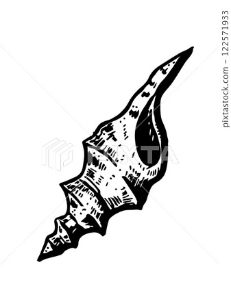 sea vector sketch shell sea vector sketch shell 122571933