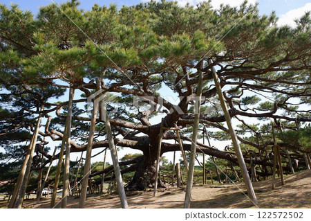 Okinawa Prefecture, Iheya Island, Minato Hiramatsu Okinawa Prefecture, Iheya Island, Minato Hiramatsu 122572502