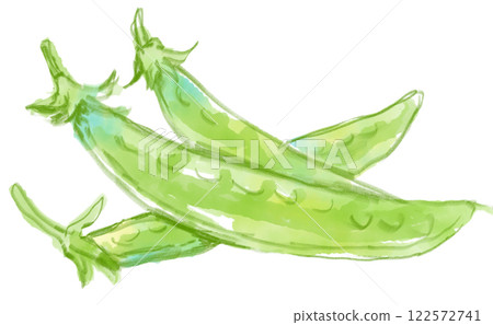 逼真的水彩畫,描繪出美味的雪豆 逼真的水彩畫,描繪出美味的雪豆 122572741