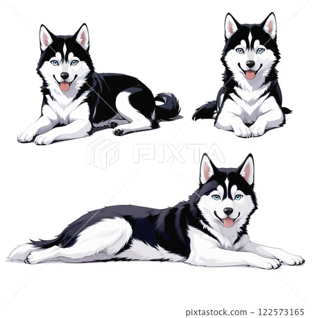Set of cute husky Set of cute husky 122573165