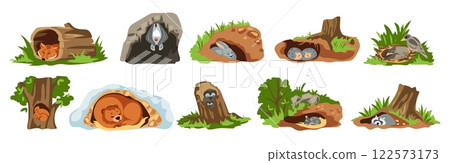 Animal den. Nature creatures sleep in burrows. Cute forest hollow trees. Bat and hedgehog in holes. Fox home or owl nest. Squirrel, rabbit or mouse dream in shelters. Vector cartoon set 122573173