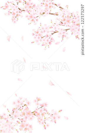 Beautiful pale pink cherry blossoms and petals spring white background iPhone etc. portrait screen size background material illustration 122573297
