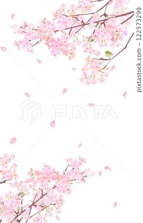 美麗的淡粉色櫻花和花瓣春天白色背景 iPhone 等肖像螢幕尺寸背景資料插圖 122573299