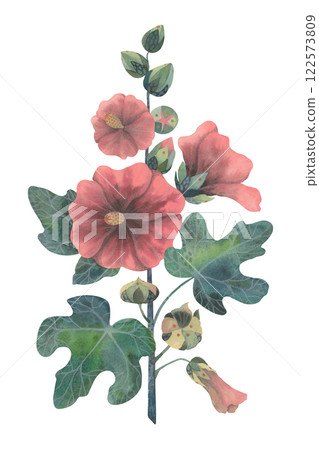 Blooming hollyhock flower. Hand-painted watercolor illustration. Delicate petals, vibrant pink tones, and botanical details. Stylized design, perfect for prints, cards, or nature-inspired projects 122573809