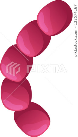 Streptococcus bacteria are forming characteristic curved chains, a typical arrangement for these gram positive microorganisms known for causing a variety of infections and diseases 122574167