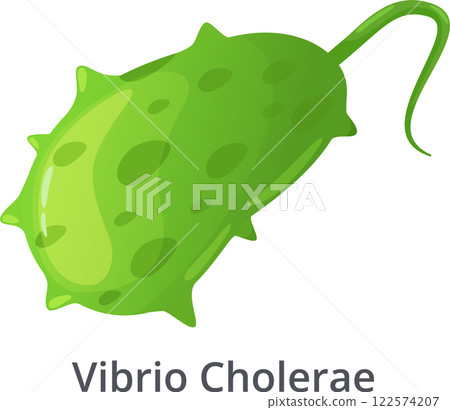Vibrio Cholerae bacteria, responsible for the infectious disease cholera, is depicted moving with its flagellum, highlighting its motility and role in spreading the illness Vibrio Cholerae bacteria, responsible for the infectious disease cholera, is depicted moving with its flagellum, highlighting its motility and role in spreading the illness 122574207