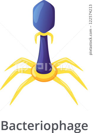 Illustration of a bacteriophage, a virus that infects and replicates within bacteria, featuring a blue head and yellow legs, highlighting its role in controlling bacterial populations 122574213
