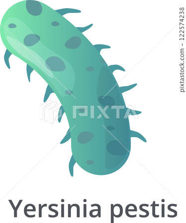 Yersinia pestis bacteria, a gram negative, rod shaped coccobacillus, a facultative anaerobic organism that can infect humans and animals, is responsible for the infamous bubonic plague 122574238