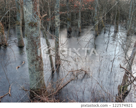 Frozen Woodland Landscape With Trees Reflecting on the Ice-Covered Water 122574921