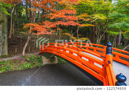 A bridge and autumn leaves during the Momiji Festival at Oguni Shrine, Ichinomiya, Totomi Province, in Morimachi (Shizuoka Prefecture) 122574939