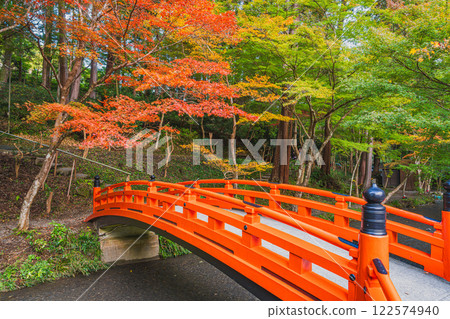 A view of a red bridge among the autumn leaves during the Momiji Festival at Oguni Shrine, Ichinomiya, Totomi Province, in Morimachi (Shizuoka Prefecture) 122574940