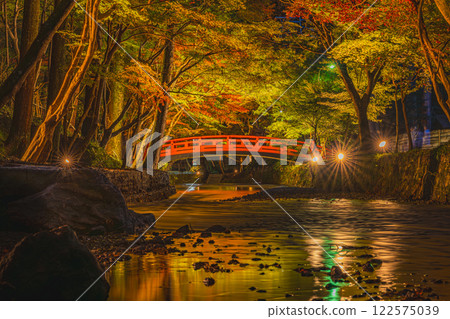 A bridge at Oguni Shrine, Ichinomiya, Totomi Province, in Morimachi, illuminated by the autumn leaves (Shizuoka Prefecture) A bridge at Oguni Shrine, Ichinomiya, Totomi Province, in Morimachi, illuminated by the autumn leaves (Shizuoka Prefecture) 122575039