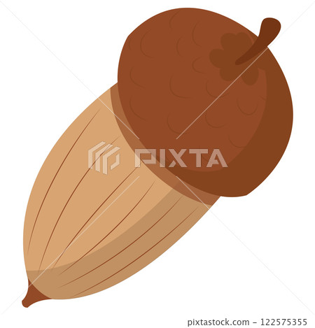 Acorn in flat style. Oak seeds. Vector illustration isolated on white background. Acorn in flat style. Oak seeds. Vector illustration isolated on white background. 122575355