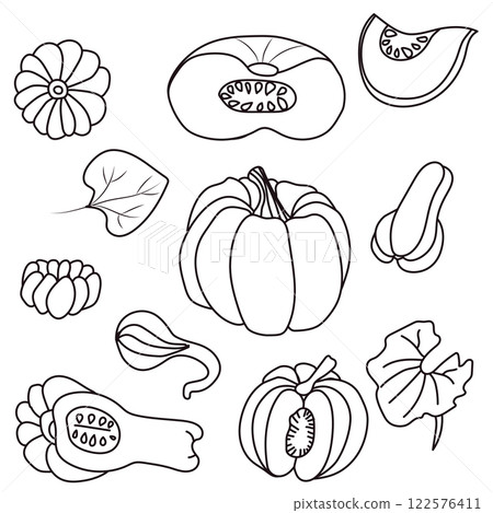 Pumpkin sketch. Autumn pumpkin harvest. Simple icons in doodle style. Vector illustration isolated on white background. 122576411