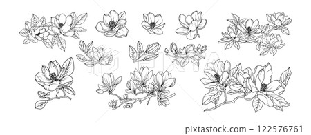 Magnolia flower arrangement line art on white background. Silhouette magnolia botanical hand drawn element for wedding, invitation frame design, vector illustration 122576761