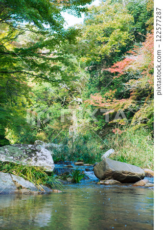 [Soja City, Okayama Prefecture] Gokei 122577287