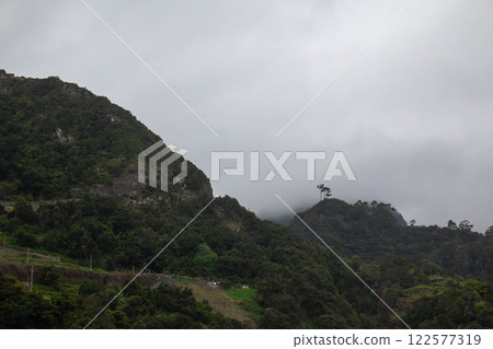 Mountain with trees on the edge, Madeira, Portugal Mountain with trees on the edge, Madeira, Portugal 122577319