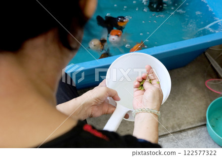 Group of Goldfish Group of Goldfish 122577322