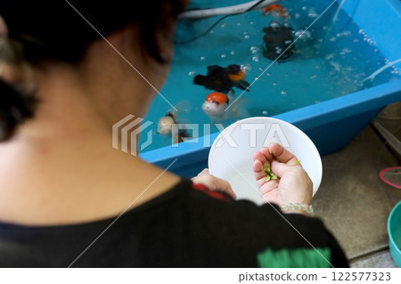 Group of Goldfish Group of Goldfish 122577323