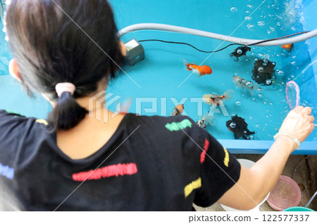 Group of Goldfish Group of Goldfish 122577337