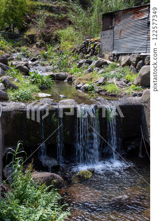 Small waterfall, Madeira, Portugal 122577349