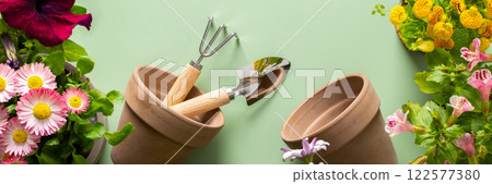 Flowers on a green background Flowers on a green background 122577380
