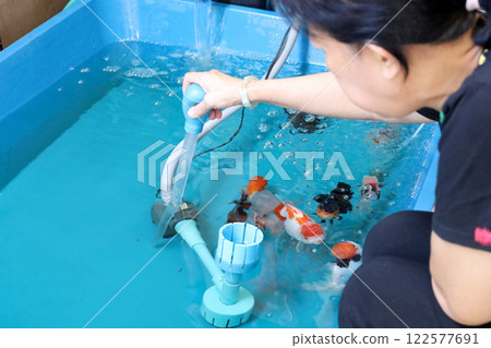 Group of Goldfish Group of Goldfish 122577691