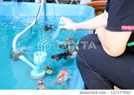 Group of Goldfish Group of Goldfish 122577692