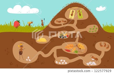 Cartoon anthill illustration. Funny ants underground working and resting. Cartoon anthill illustration, seasonal insects work process classy vector scene 122577929