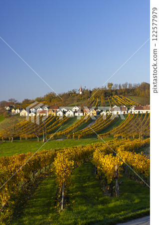 Traditional wine cellars street (kellergasse) in Galgenberg, Lower Austria, Austria Traditional wine cellars street (kellergasse) in Galgenberg, Lower Austria, Austria 122577979