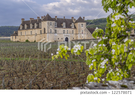 Typical vineyards near Clos de Vougeot, Cote de Nuits, Burgundy, France Typical vineyards near Clos de Vougeot, Cote de Nuits, Burgundy, France 122578071