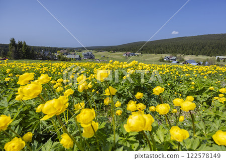 Spring landscape with Jizerka near Korenov, Northern Bohemia, Czech Republic Spring landscape with Jizerka near Korenov, Northern Bohemia, Czech Republic 122578149