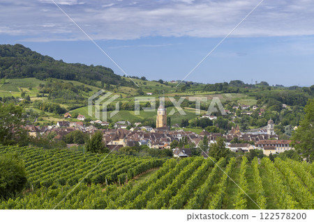 Vineyards with Arbois town, Department Jura, Franche-Comte, France 122578200