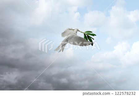 From Conflict To Harmony 122578232