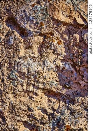 Earthy Rock Surface with Moss and Lichen at Eye-Level in Utah 122579146