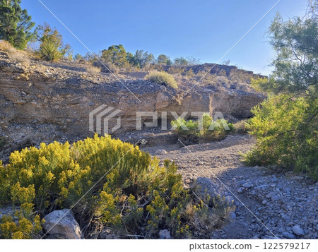 Rugged Desert Outcrop with Yellow Wildflowers at Eye Level Perspective Rugged Desert Outcrop with Yellow Wildflowers at Eye Level Perspective 122579217