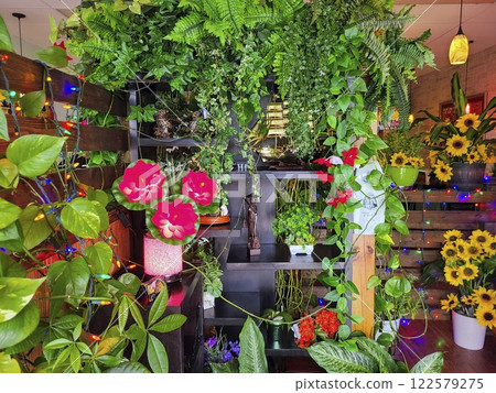 Vibrant Indoor Garden with Festive Lights and Flowers Eye-Level View Vibrant Indoor Garden with Festive Lights and Flowers Eye-Level View 122579275