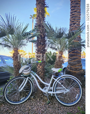 White Bicycle and Palm Trees in Festive Setting Eye-Level View White Bicycle and Palm Trees in Festive Setting Eye-Level View 122579288