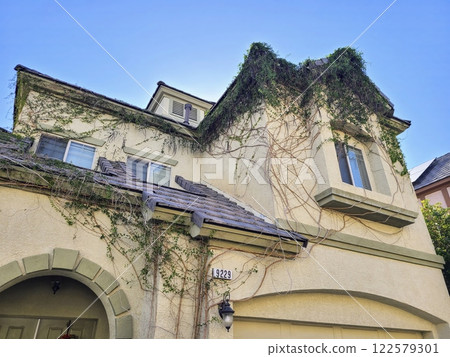 Suburban House with Vines and Slate Roof in Daylight Eye-Level View Suburban House with Vines and Slate Roof in Daylight Eye-Level View 122579301