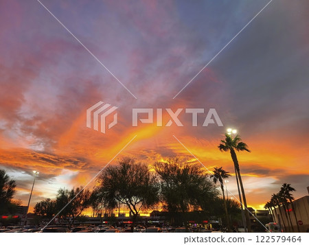 Urban Sunset with Palm Trees and Cars at Eye Level 122579464