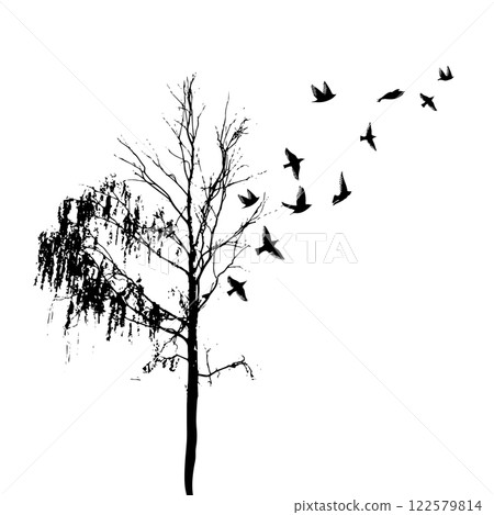 Birch tree silhouette with flying birds. Nature hand drawing. Not AI Vector illustration. Birch tree silhouette with flying birds. Nature hand drawing. Not AI Vector illustration. 122579814
